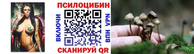 купить   Павловская  Псилоцибиновые грибы GOLDEN TEACHER 
